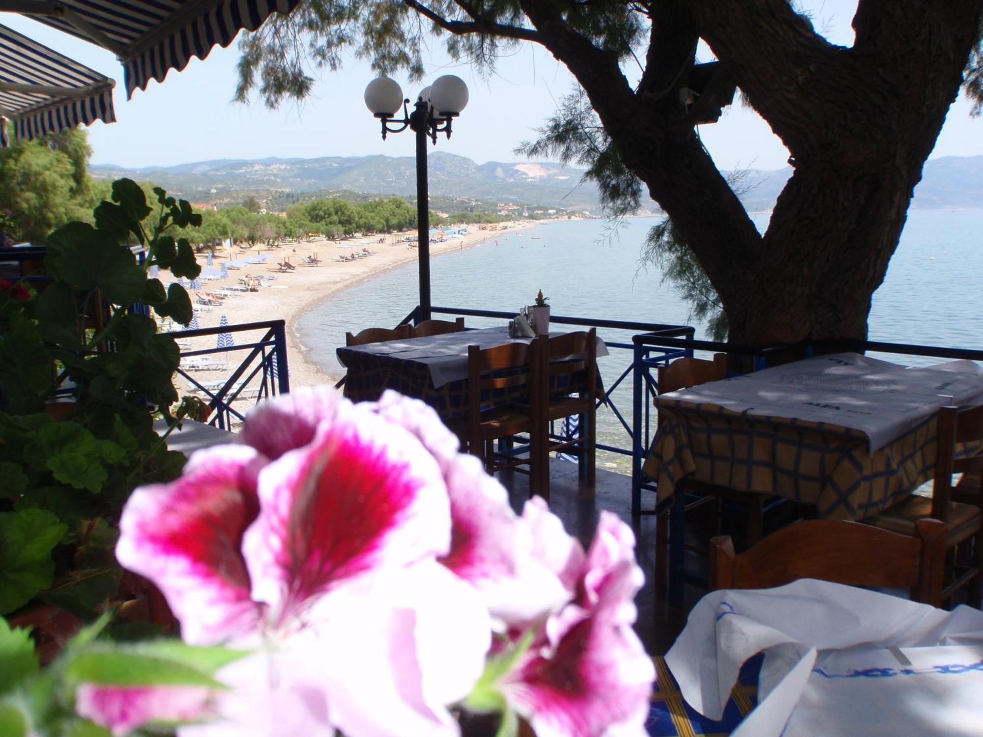 Votsalakia Hotel Kampos Marathokampou Dış mekan fotoğraf